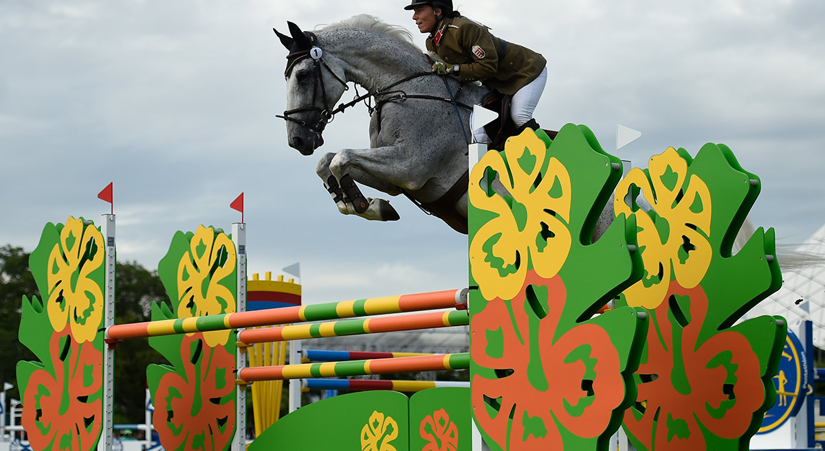 Lunchtime ASX small cap wrap: Who’s getting back on the horse today?