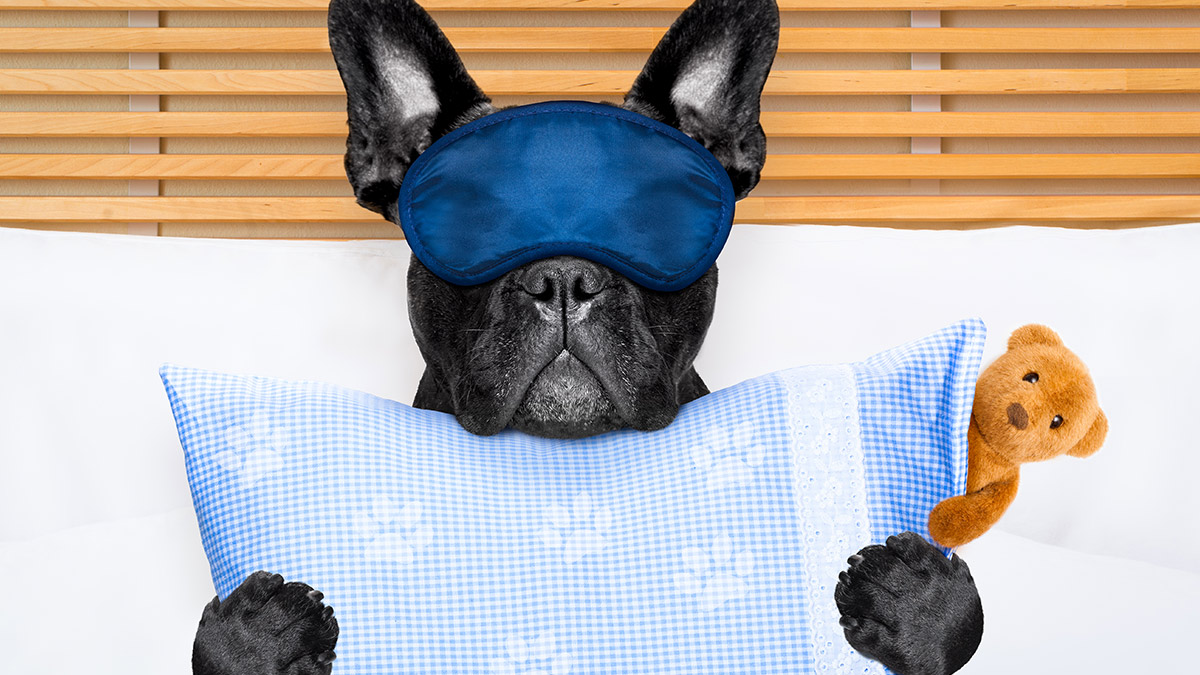 Rise and Shine: What you need to know before the ASX opens