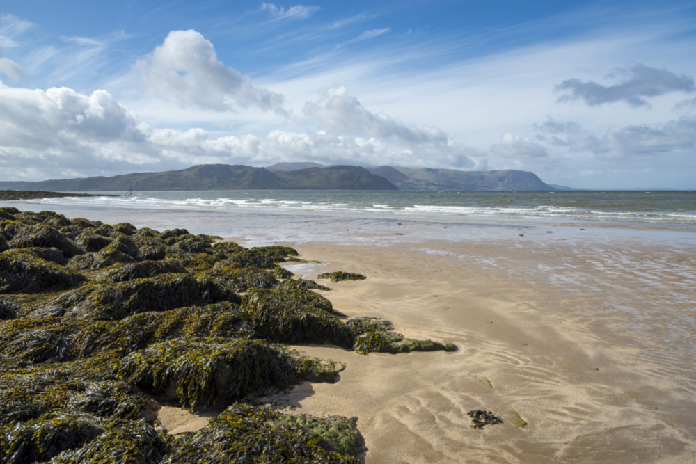 Lithium from seawater – it’s possible but is it worth pursuing?