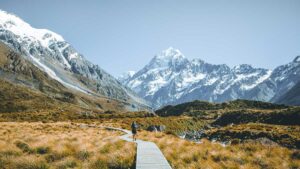 Creso just locked in a New Zealand distribution deal for its CBD products