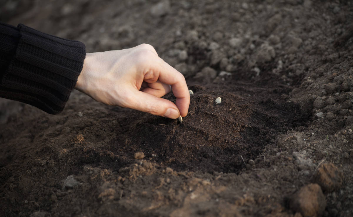 Startup accelerator Antler splurges $1.2m in pre-seed funding for 12 Sydney businesses
