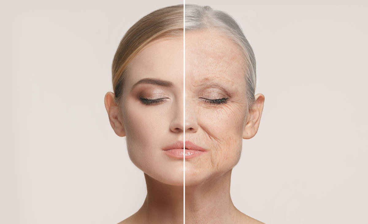 Health: Human cell proteins + cannabis = fountain of youth?