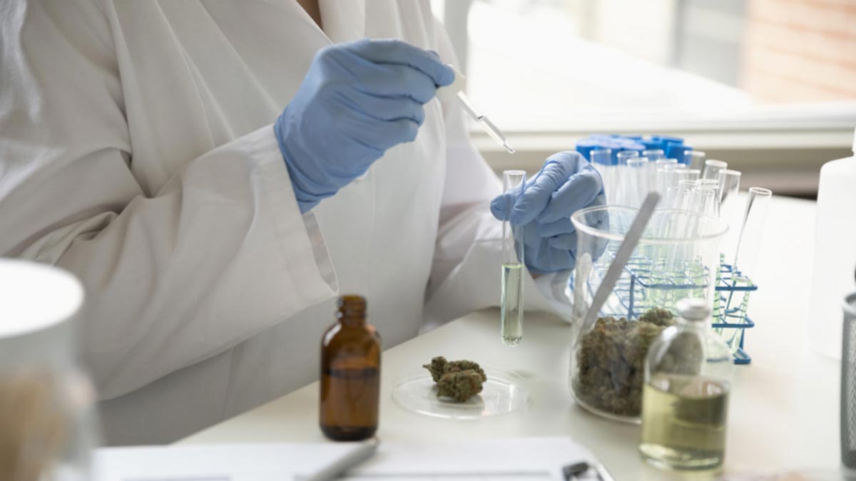 How do you get patients to accept cannabis? Treat it like any other medicine