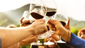 Digital Wine Ventures has the ASX 200 in its sights as WineDepot launches
