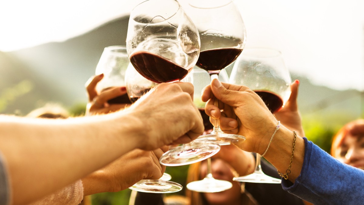 Digital Wine Ventures has the ASX 200 in its sights as WineDepot launches