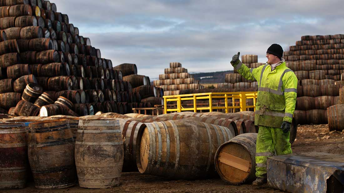 Bargain Barrel: These are some ASX small caps with a steady stream of upcoming news flow