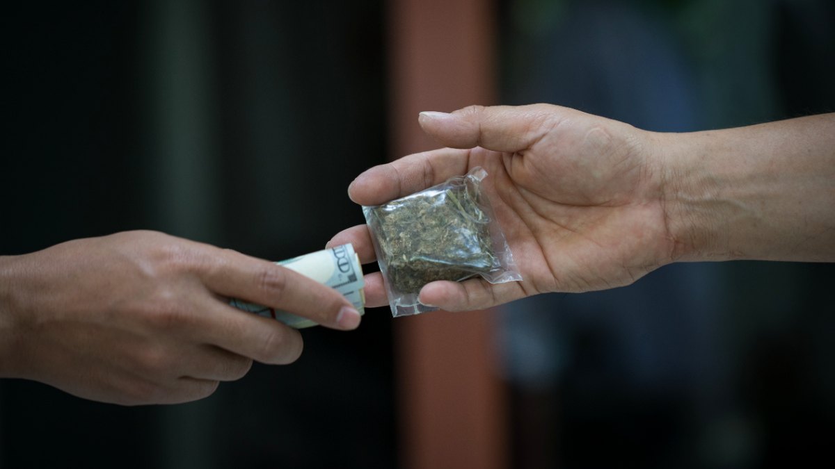 Health: Zelda wants to buy a private US-based medicinal cannabis company