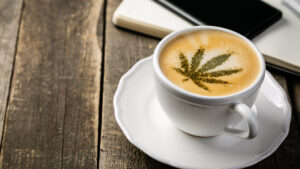 Weed Week: The first cannabis cafe just opened in the US, complete with resident ‘flower hosts’
