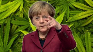 Cannabis: Another German importer wants Little Green Pharma’s products