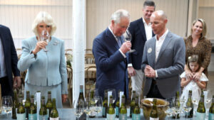 Corporate: Digital Wine Ventures tells shareholders it’s beginning to taste cash flows from WINEDEPOT