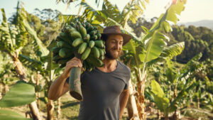 Corporate: Strategic investor likes Papyrus’ fibre from bananas idea; shares double
