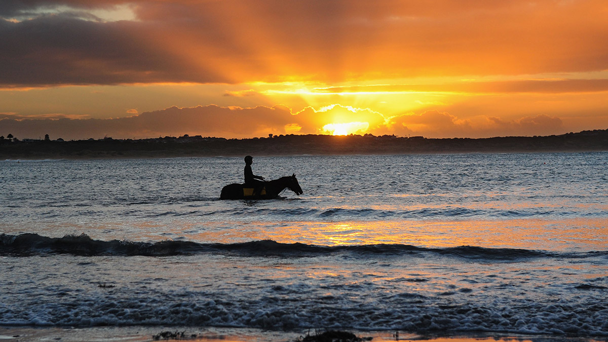Rise and Shine: What you need to know before the ASX opens