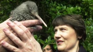 New Zealand gave Aussie investors 16-bagger Xero; which other Kiwi companies call the ASX home?