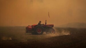These sectors bear the brunt of the bushfires