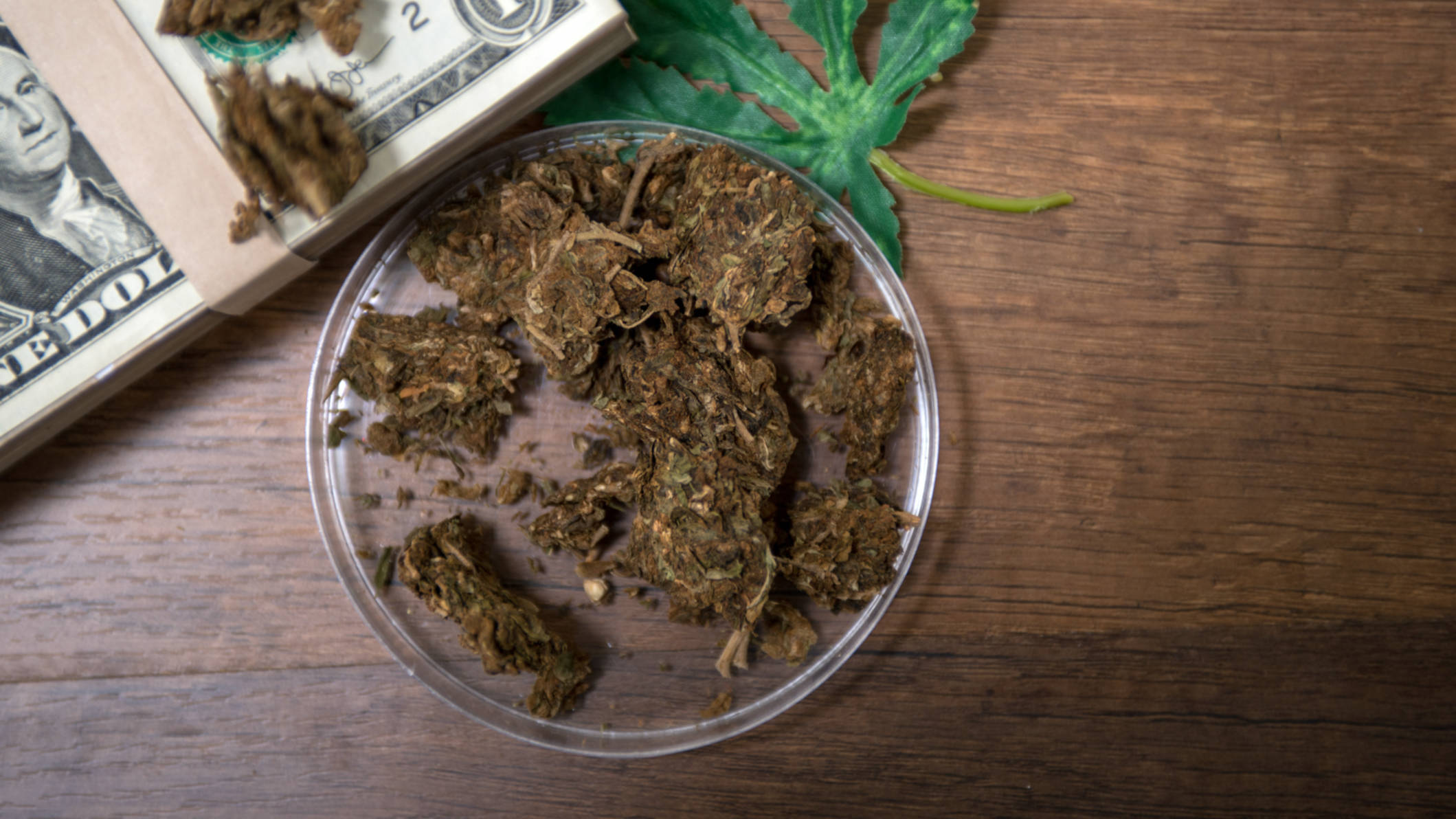 Cannabis