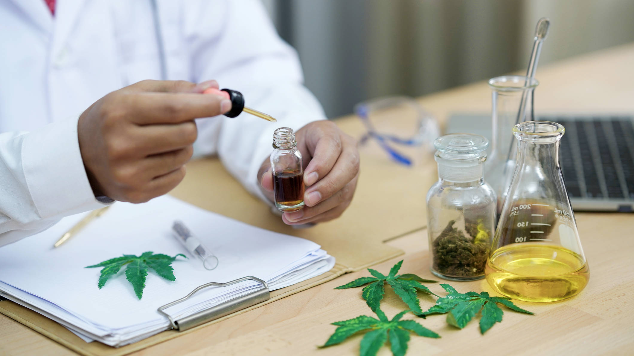 extracting CBD from the hemp plant