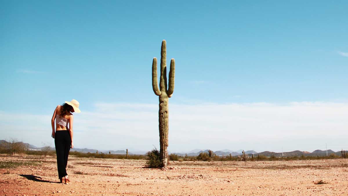 cactus
