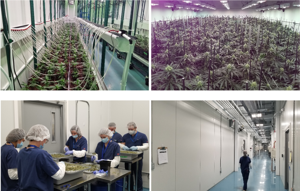 Creso facility in Nova Scotia Canada