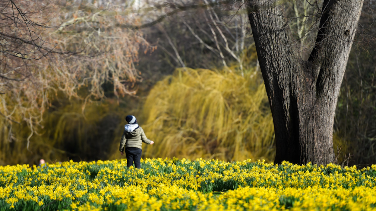 10 at 10: These ASX stocks are blooming this morning