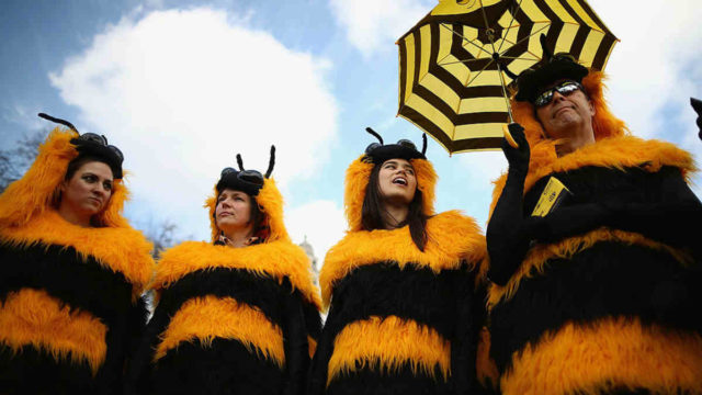 People Dressed As Bees