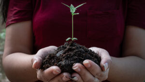 Avecho finds a new use for its drug delivery technology in the pot market