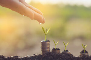 Man hand watering young tree on coin stack in growth business