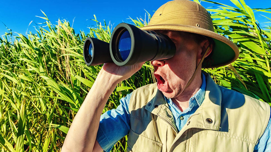 RareX has eyes on McPhillamys look-alike in the Lachlan Fold Belt