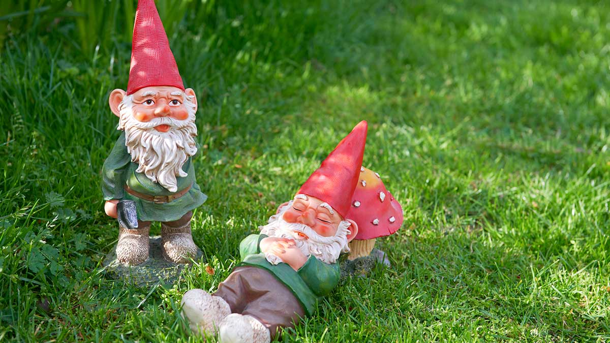 gnomes