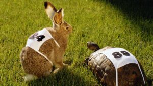 ASX Small Cap Lunchtime Wrap: Slow and steady wins the race to recovery, analysts say