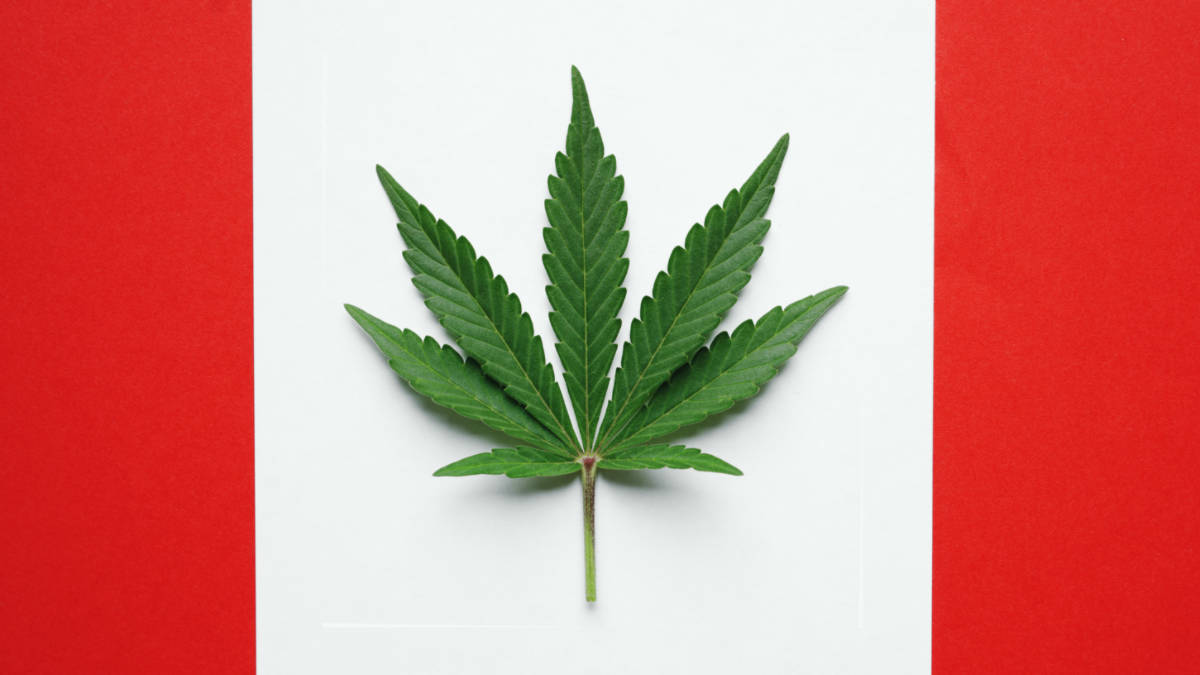 creso pharma canada production