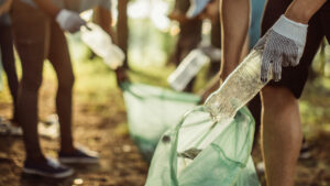 Stocks pivoting to sustainability set to boom post-pandemic