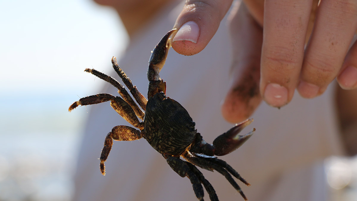 ABS survey suggests Aussie business are feeling the pinch from COVID-19