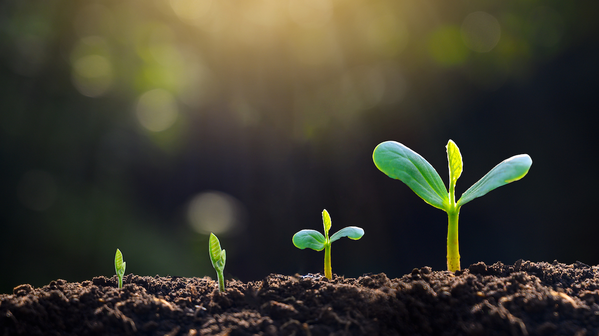 VC Land Podcast: Georgie Turner from Tidal Ventures on the importance of early stage funding