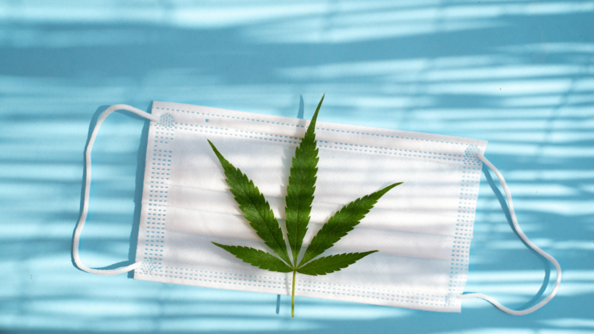 Another pot stock is getting into the cannabis-based PPE trend