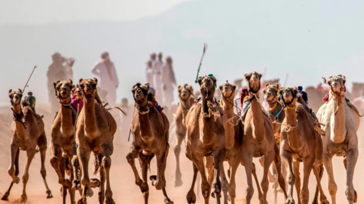 10 at 10: These ASX stocks are galloping forward this morning