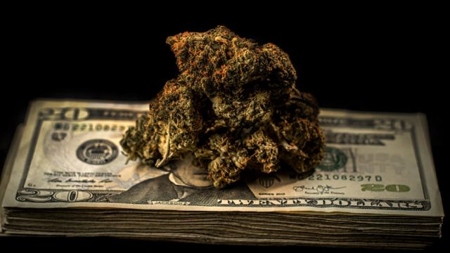 Cannabis on a stack of $20