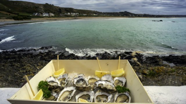 East 33, which sells Sydney Rock Oysters, is listing just in time for the summer - on December 3