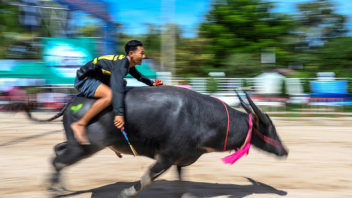 10 at 10: These ASX stocks are riding like the wind this morning