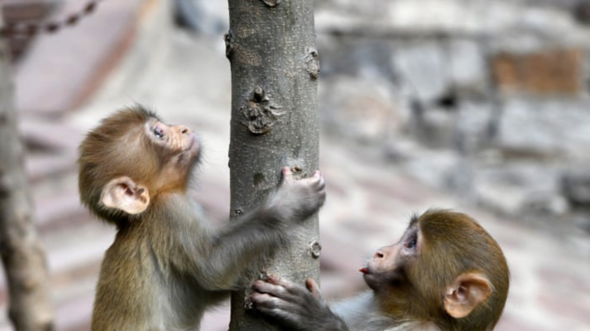 Here are today's biggest climbing stocks on the ASX (Pic: Getty)