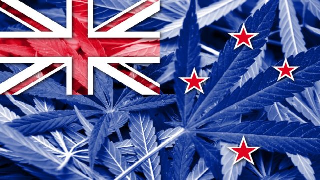 New Zealand legal cannabis
