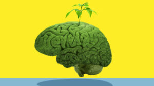 environmental risk