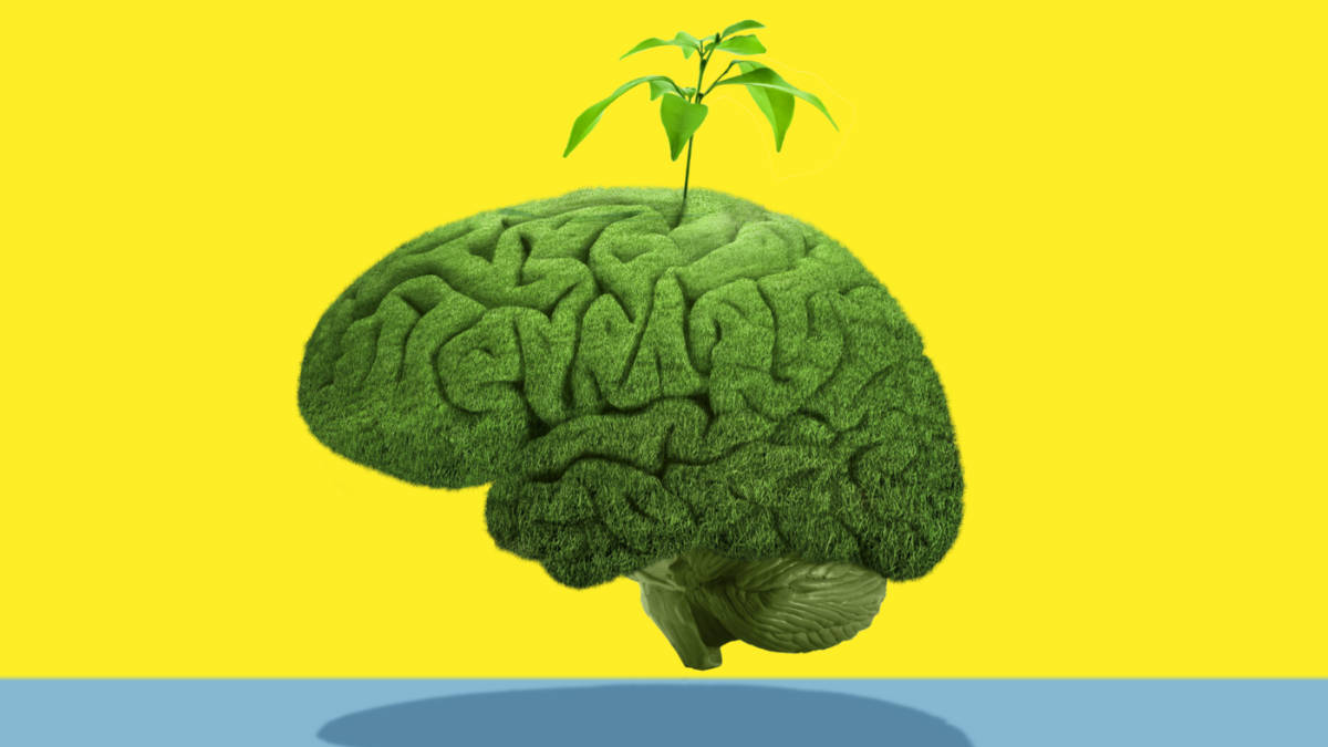 environmental risk