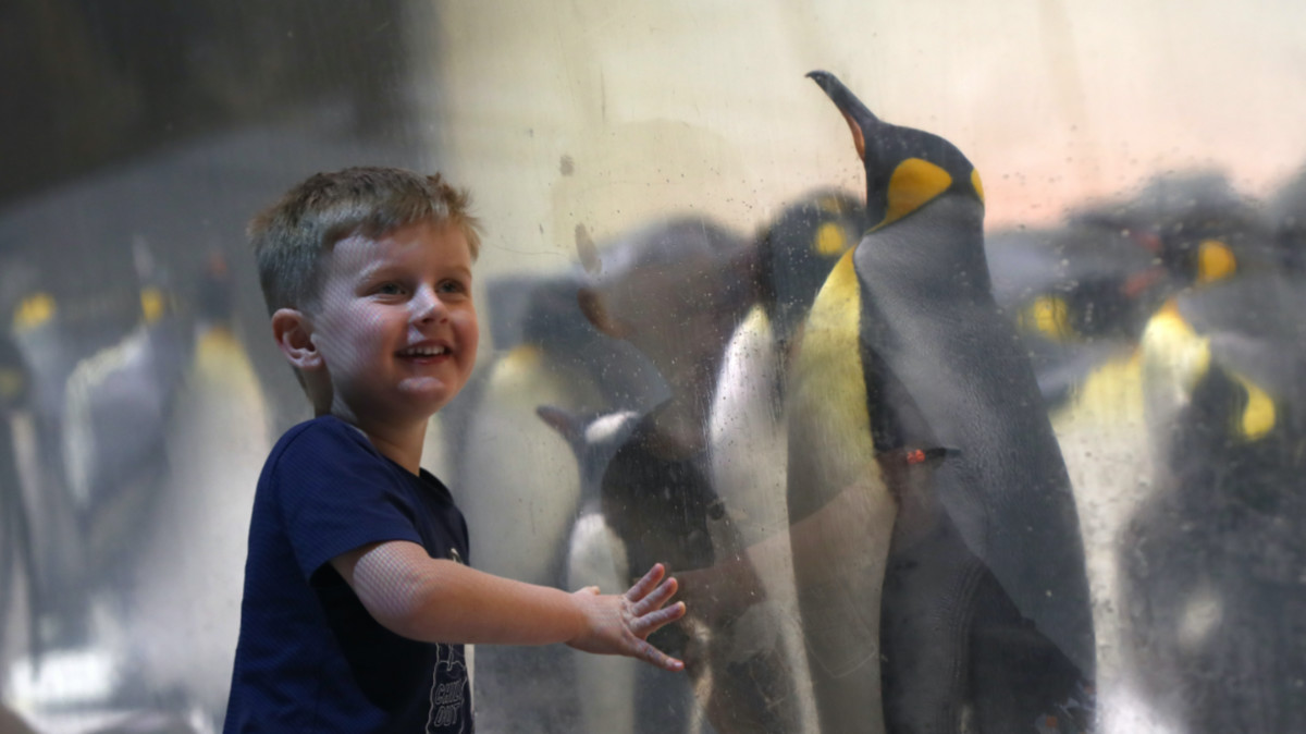 Here are the ASX's biggest movers on Friday November 13 (Pic: Getty)