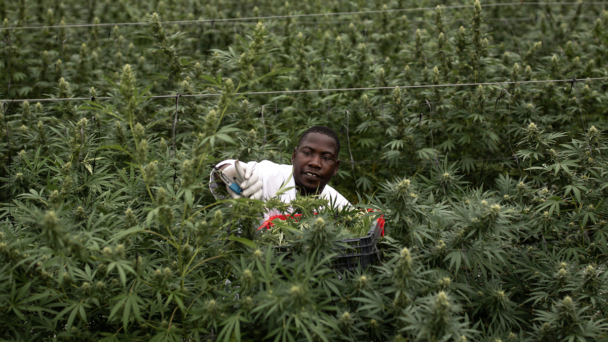 Kick Back: The 10 biggest stories you might have missed on Stockhead this week