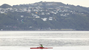 Tesserent NZ