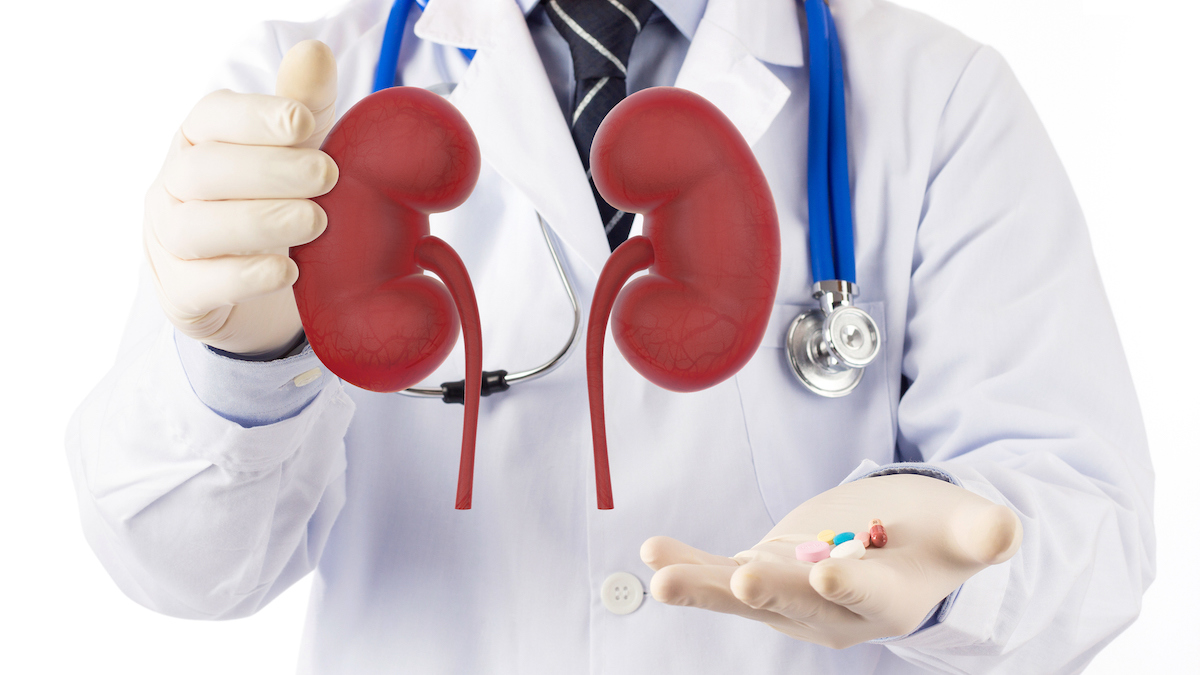 Dimerix diabetic kidney disease