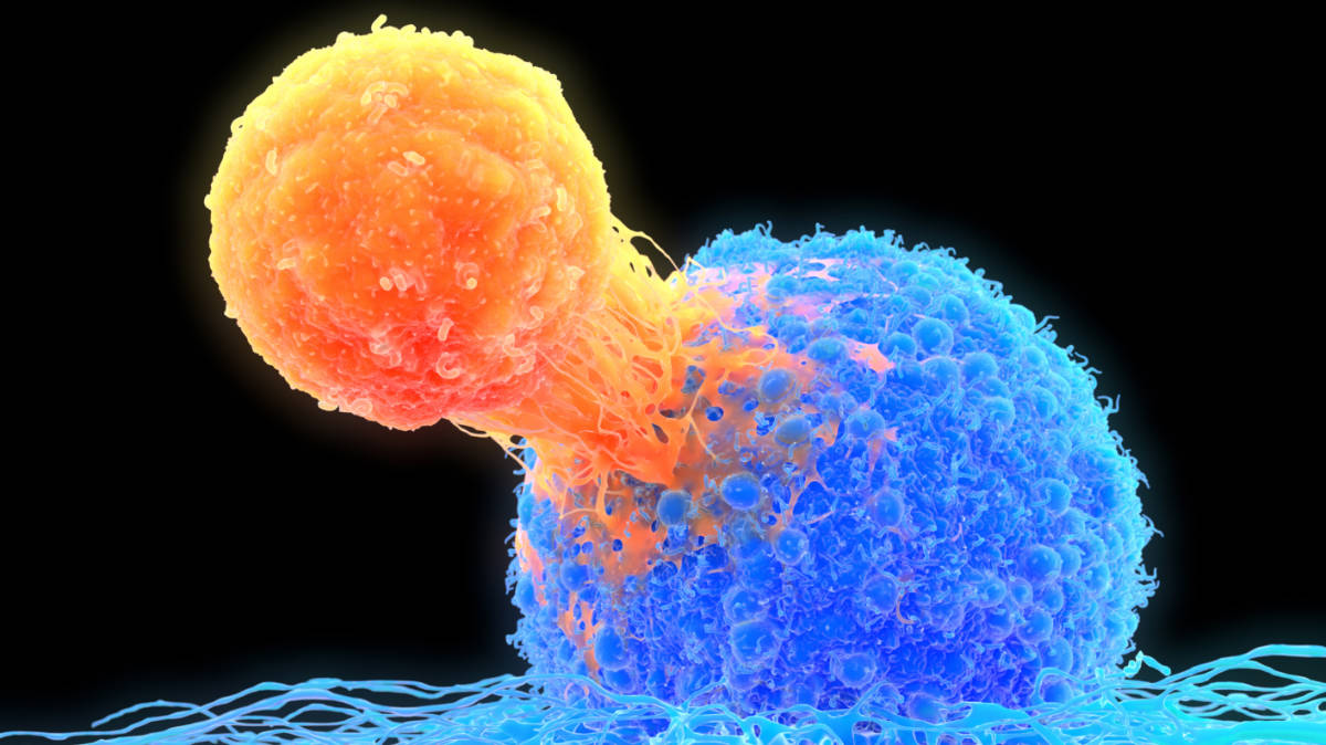 Chimeric Therapeutics IPO
