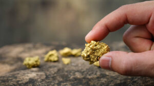 Torrens Mining