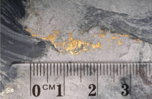 navarre minerals gold visible new bendigo
