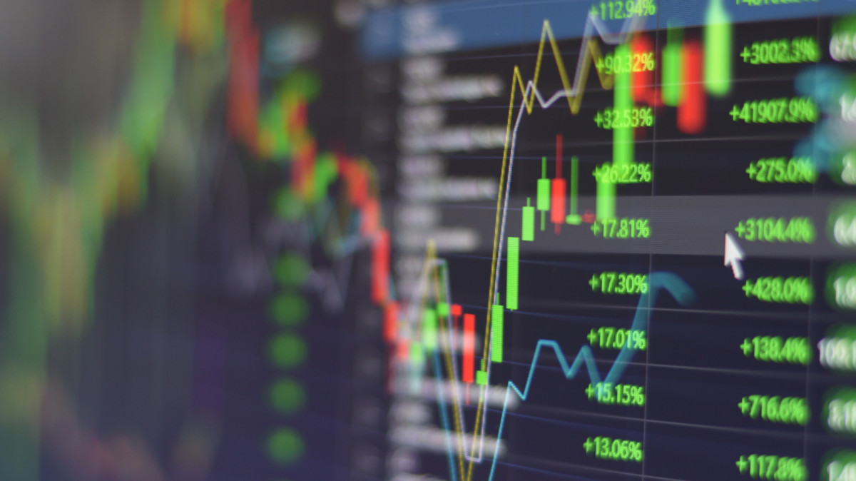 asx directors resources